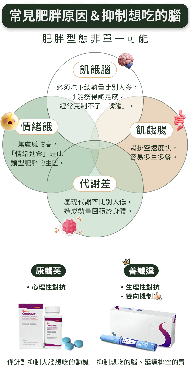 善纖達與康纖芙的差別