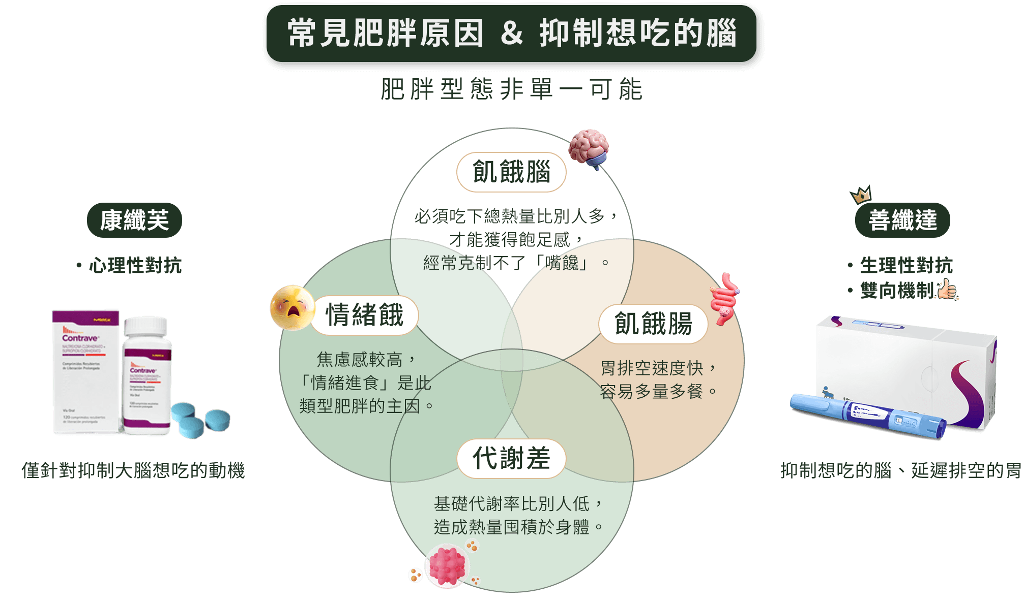 善纖達與康纖芙的差別