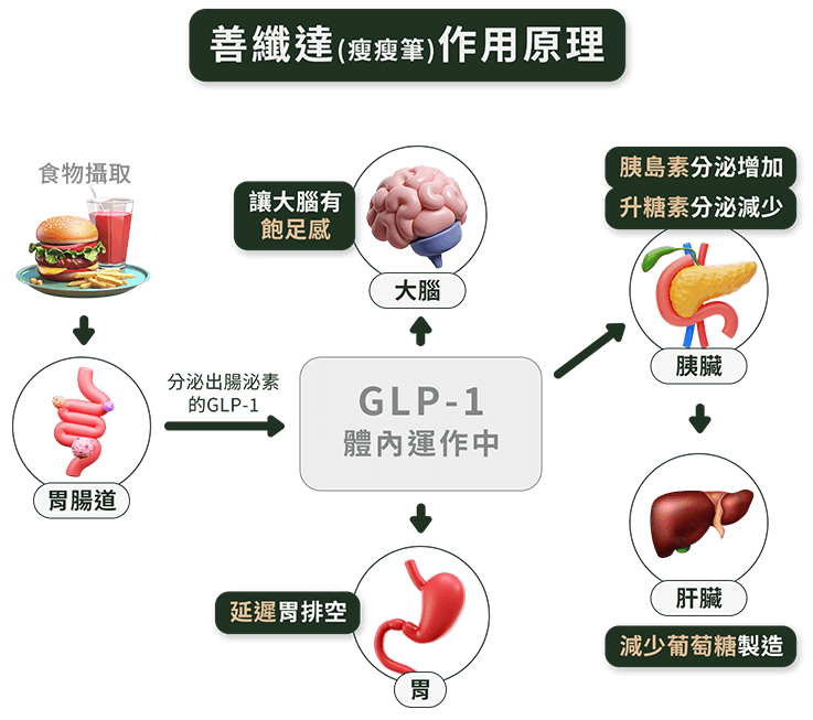 瘦瘦筆作用原理說明